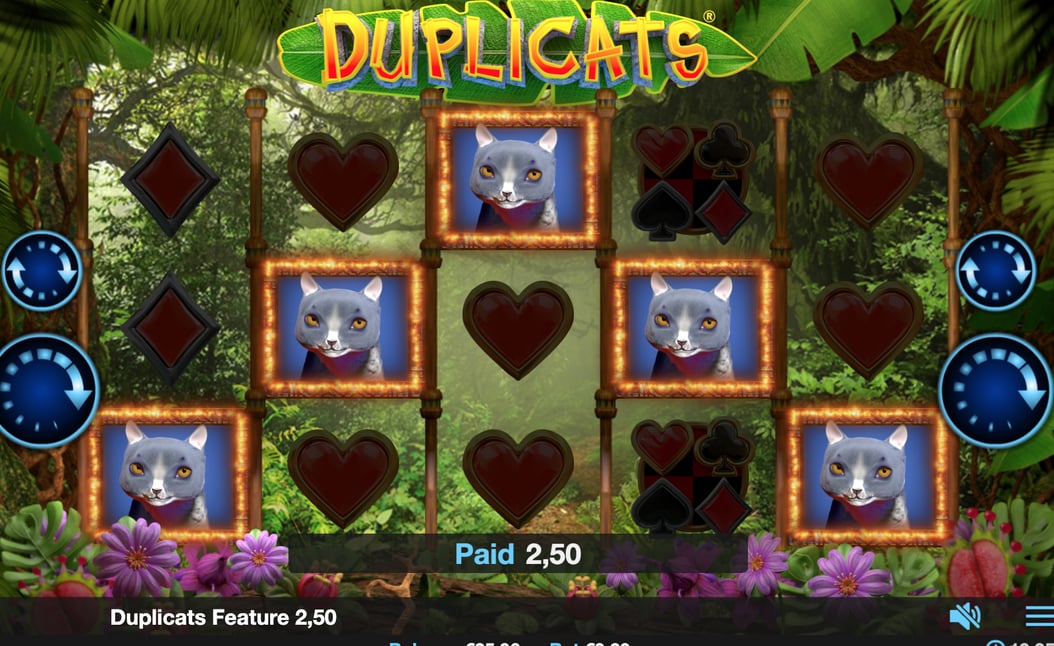 Duplicats win
